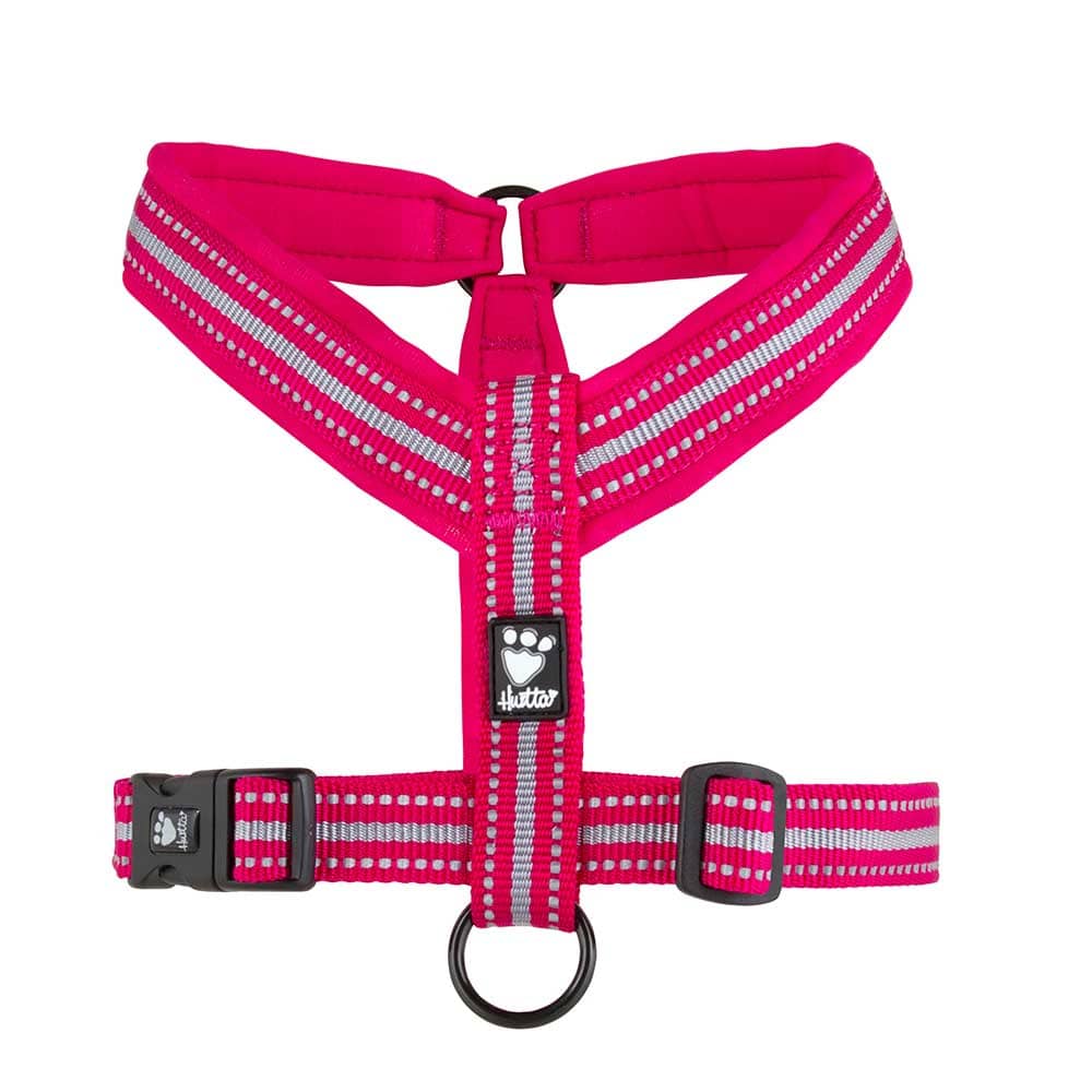 Padded 2024 y harness