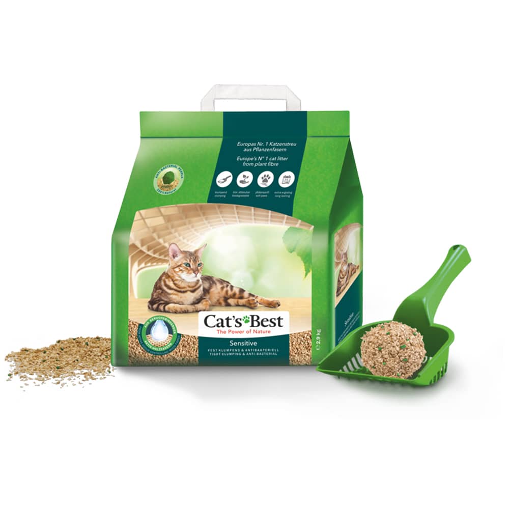 Best alternative hotsell cat litter