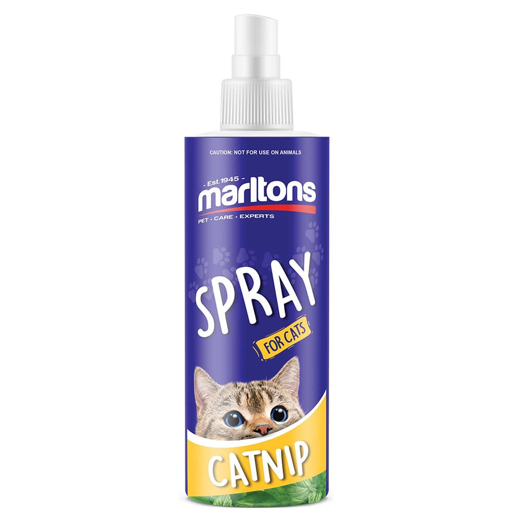 Catnip spray best sale for cats