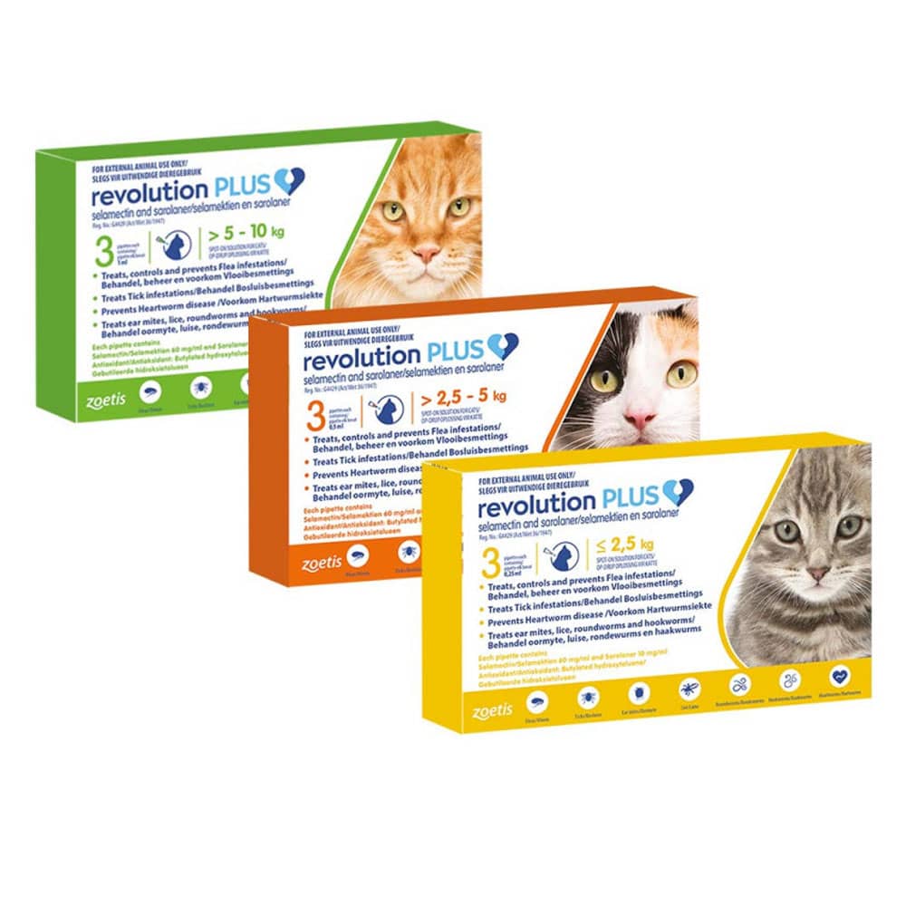 Revolution plus for cats 2024 review