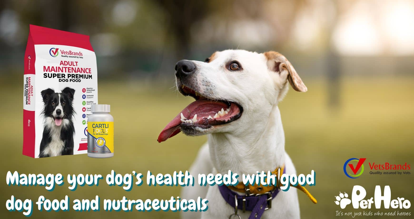 Manage Your Dog's Health With Good Dog Food And Nutraceuticals | Pet Hero