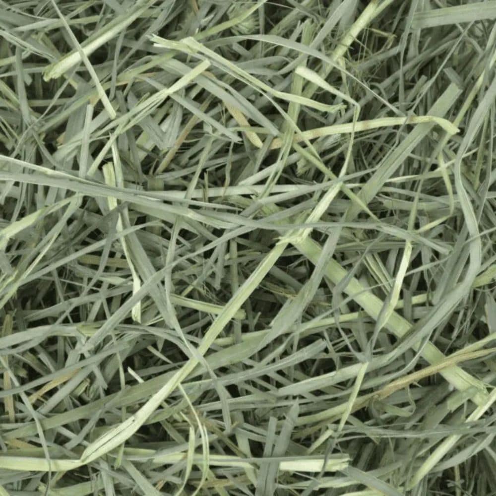 Oxbow Orchard Grass Hay Pet Hero