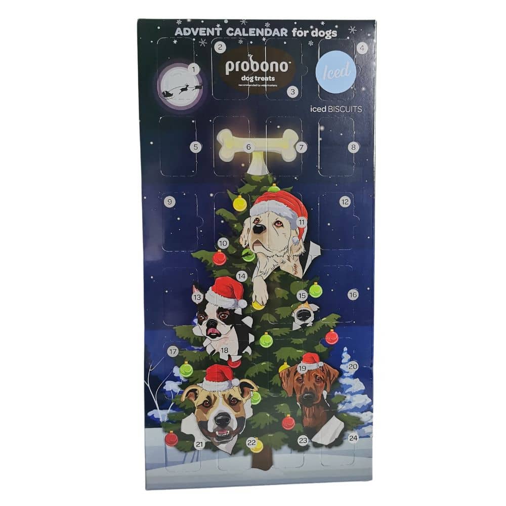 Pro Bono Iced Advent Calendar for Dogs