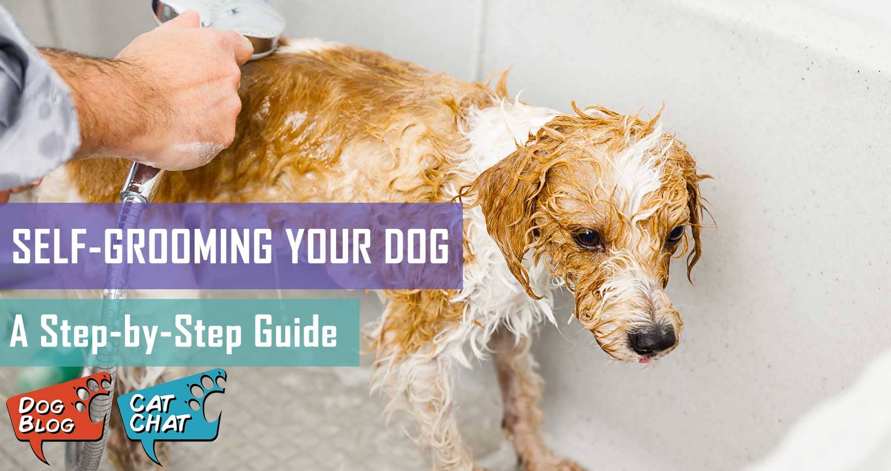 Way to wash your dog fashion at home