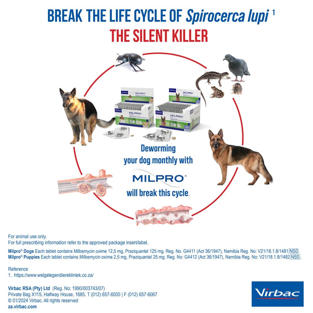 milpro dog worming tablets