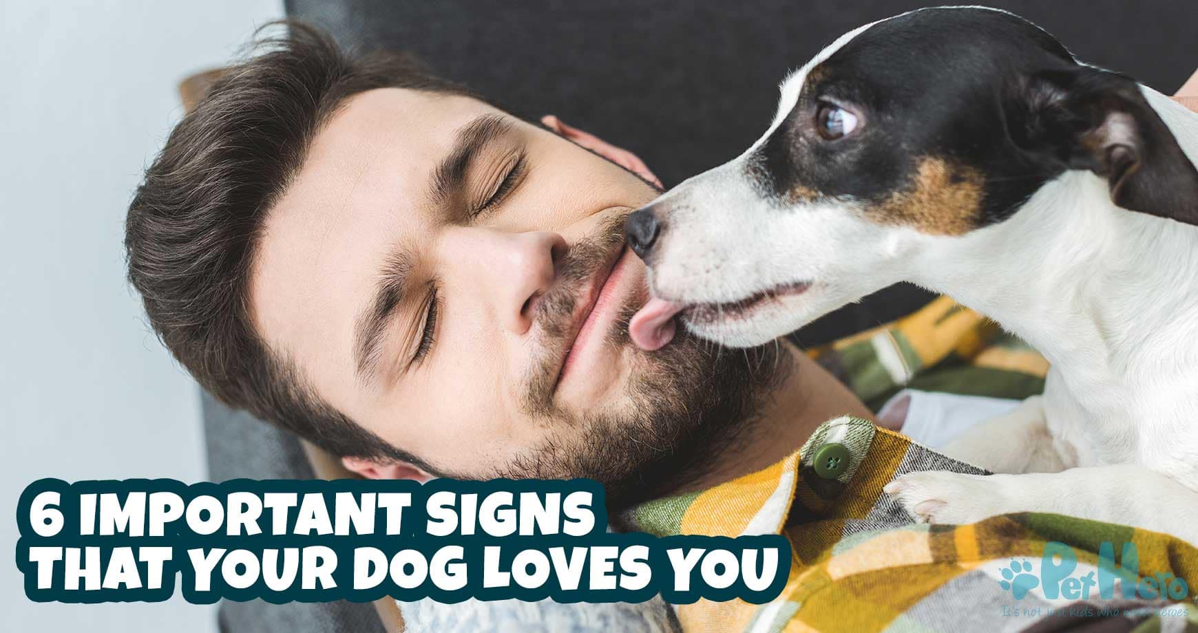 6 Important Signs That Your Dog Loves You | Pet Hero