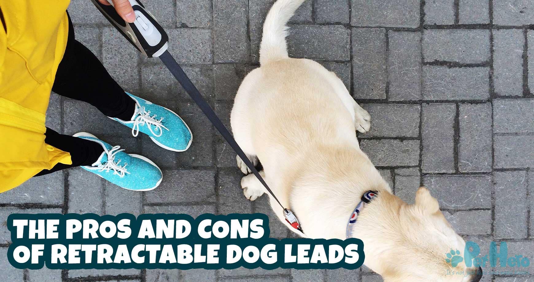 Best extendable dog lead best sale