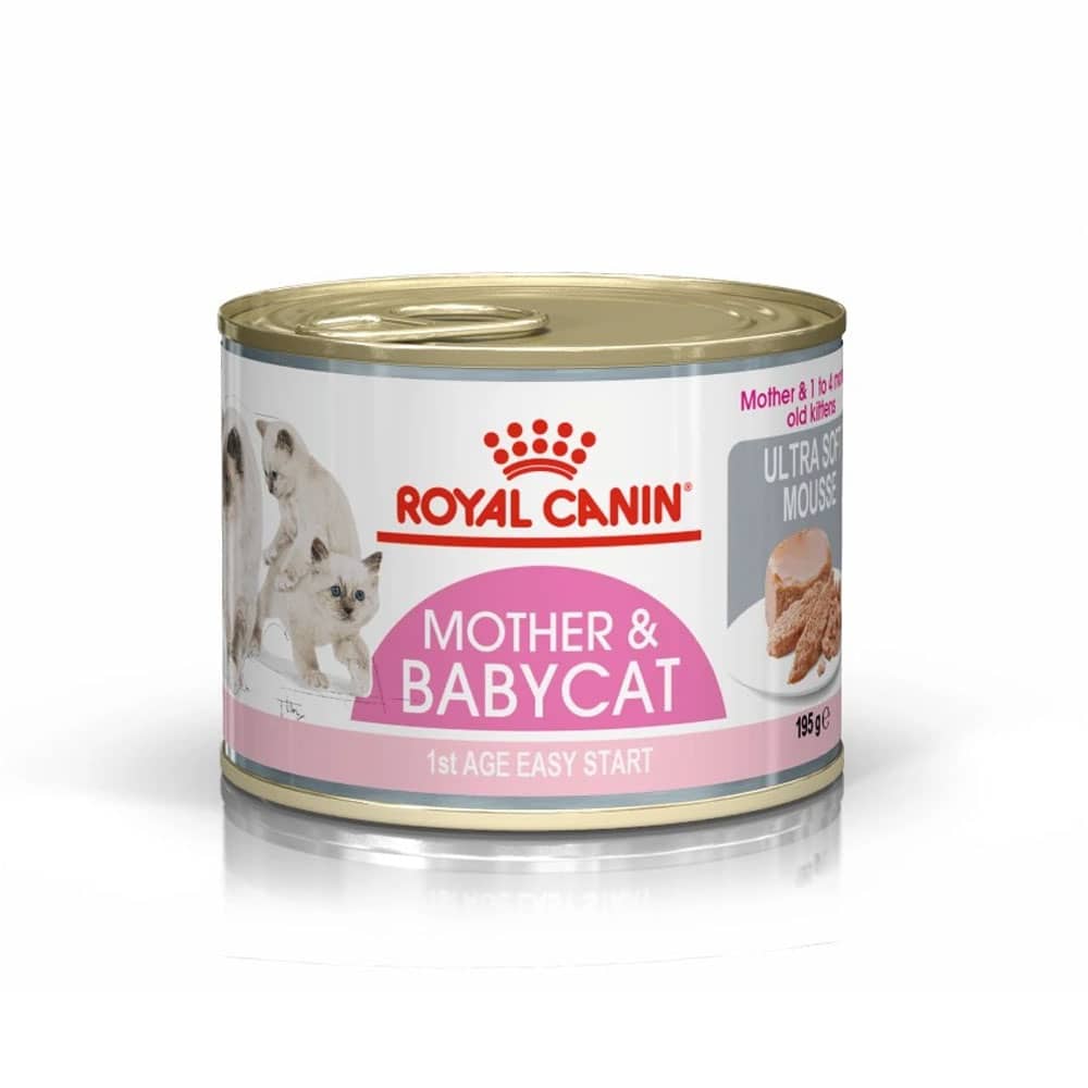 royal canin mother and kitten food