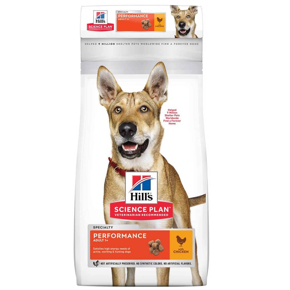 Hill's Adult Performance Dry Dog Food Chicken | Pet Hero