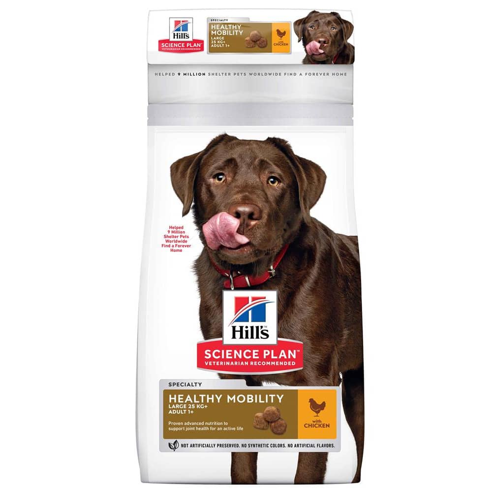 science diet older dog food