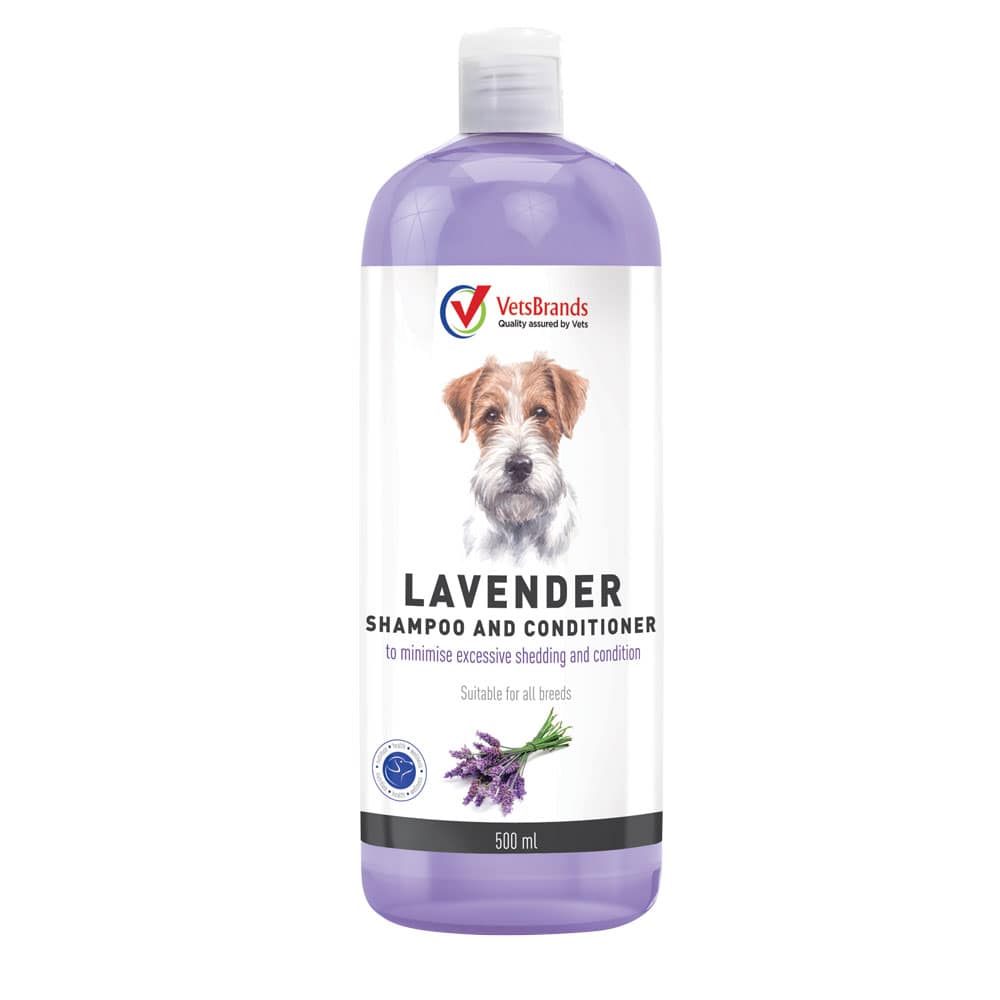 dog vitamins for shedding