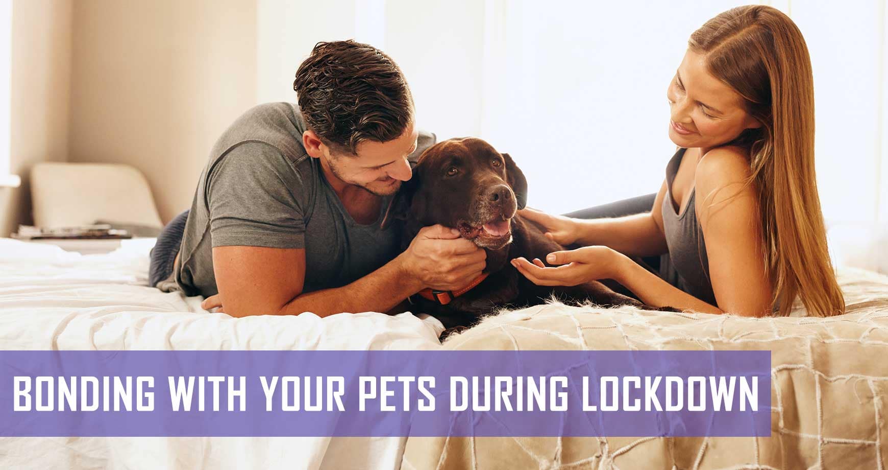 Bonding With Your Pets During Lockdown Pet Hero
