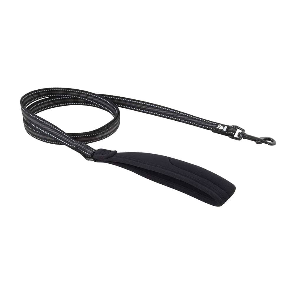 dog leash with grip handle