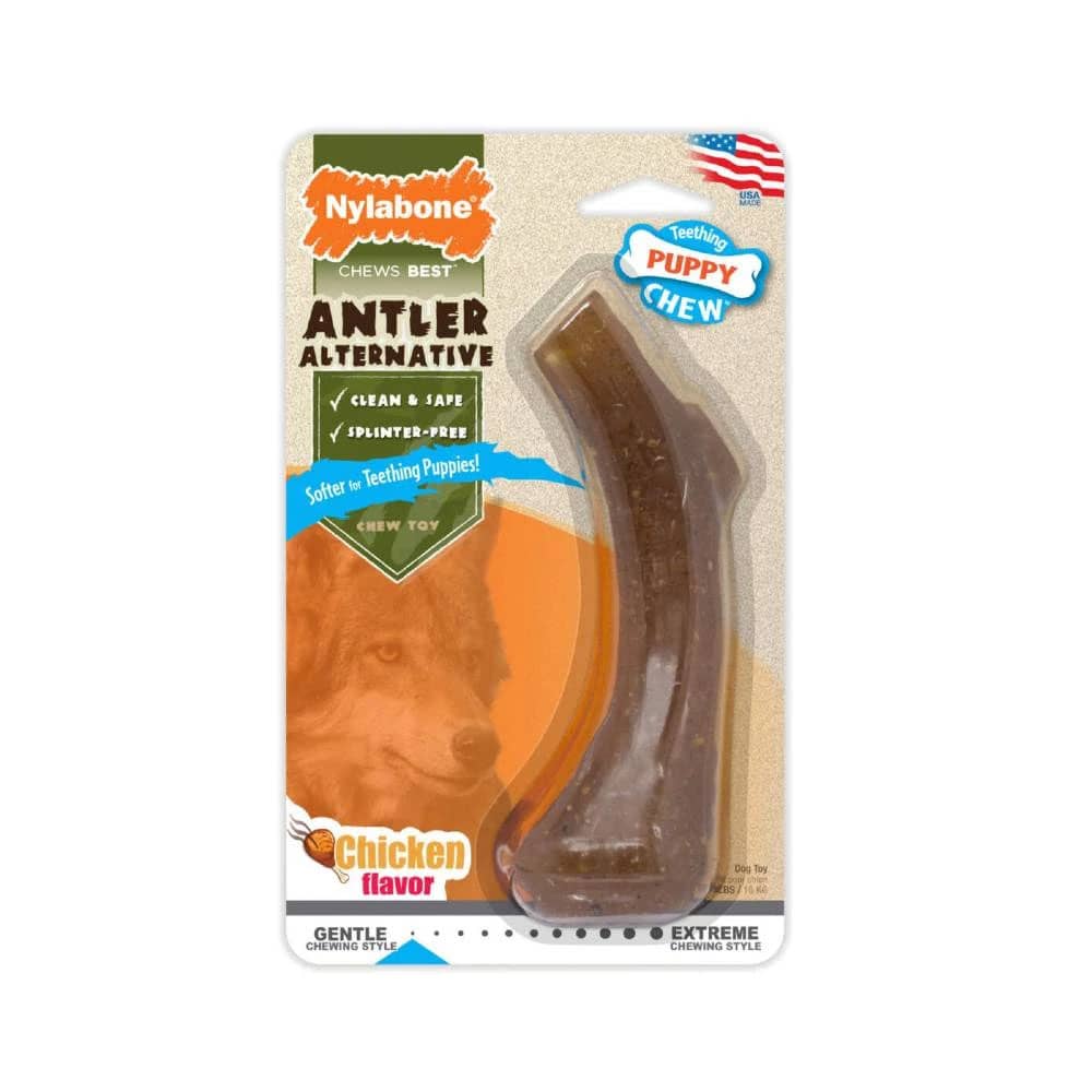 nylabone antler chew