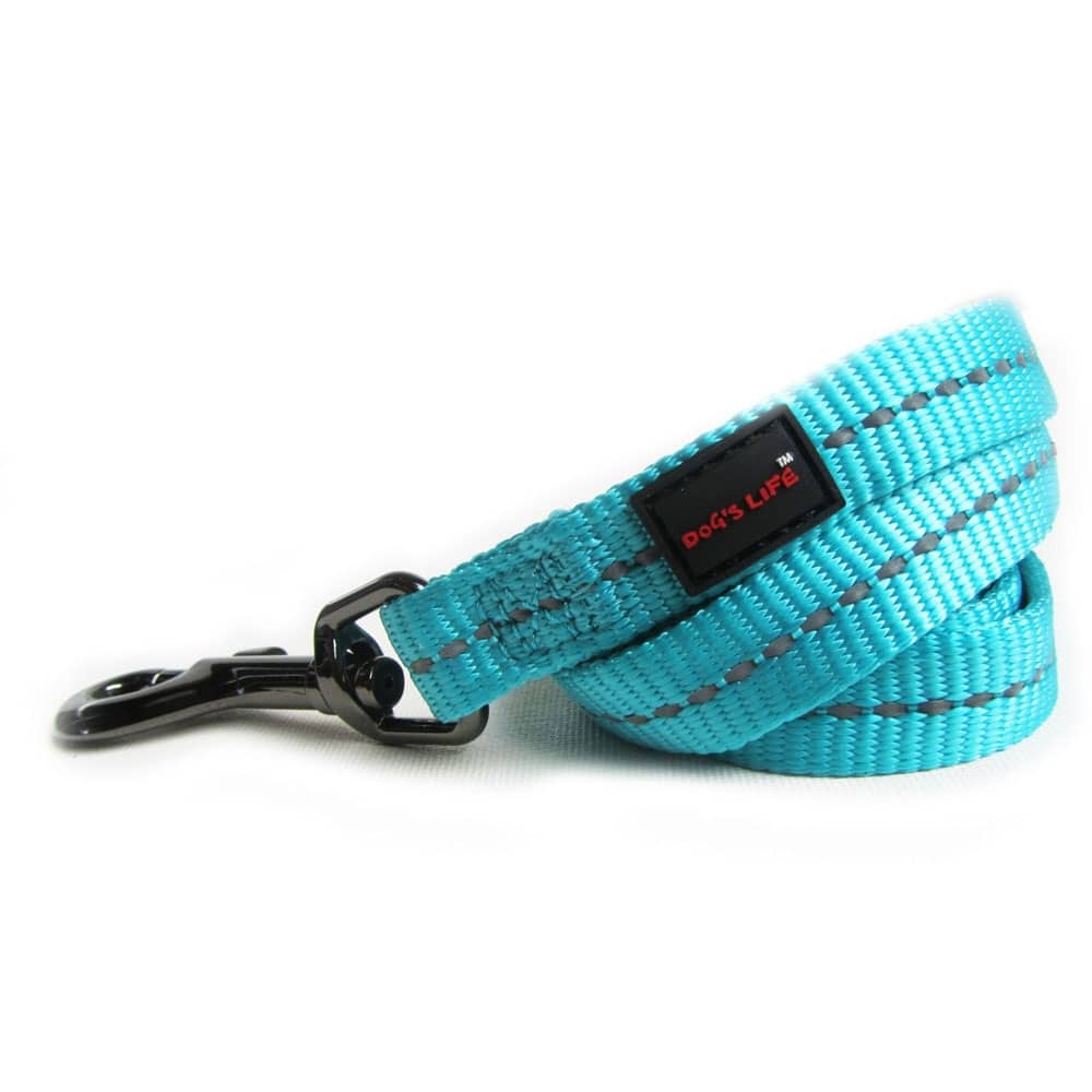 webbing leash