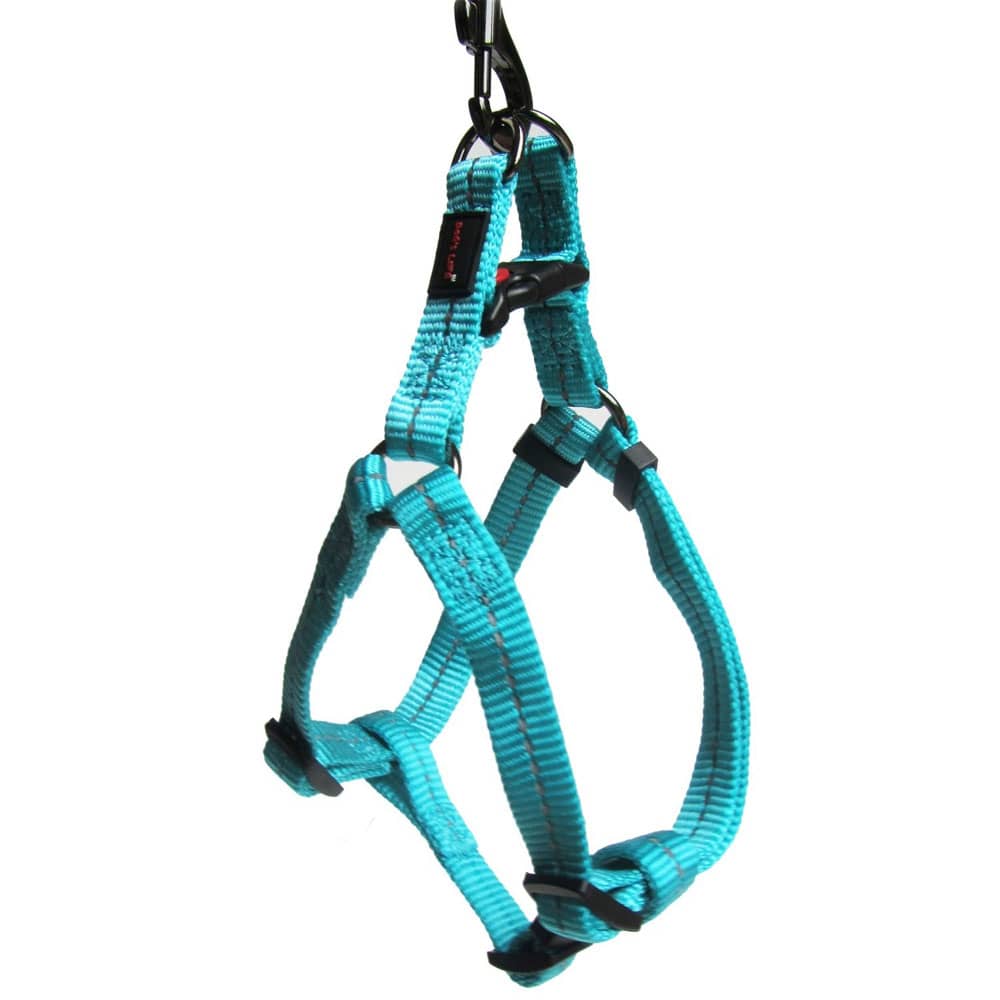 dog's life harness