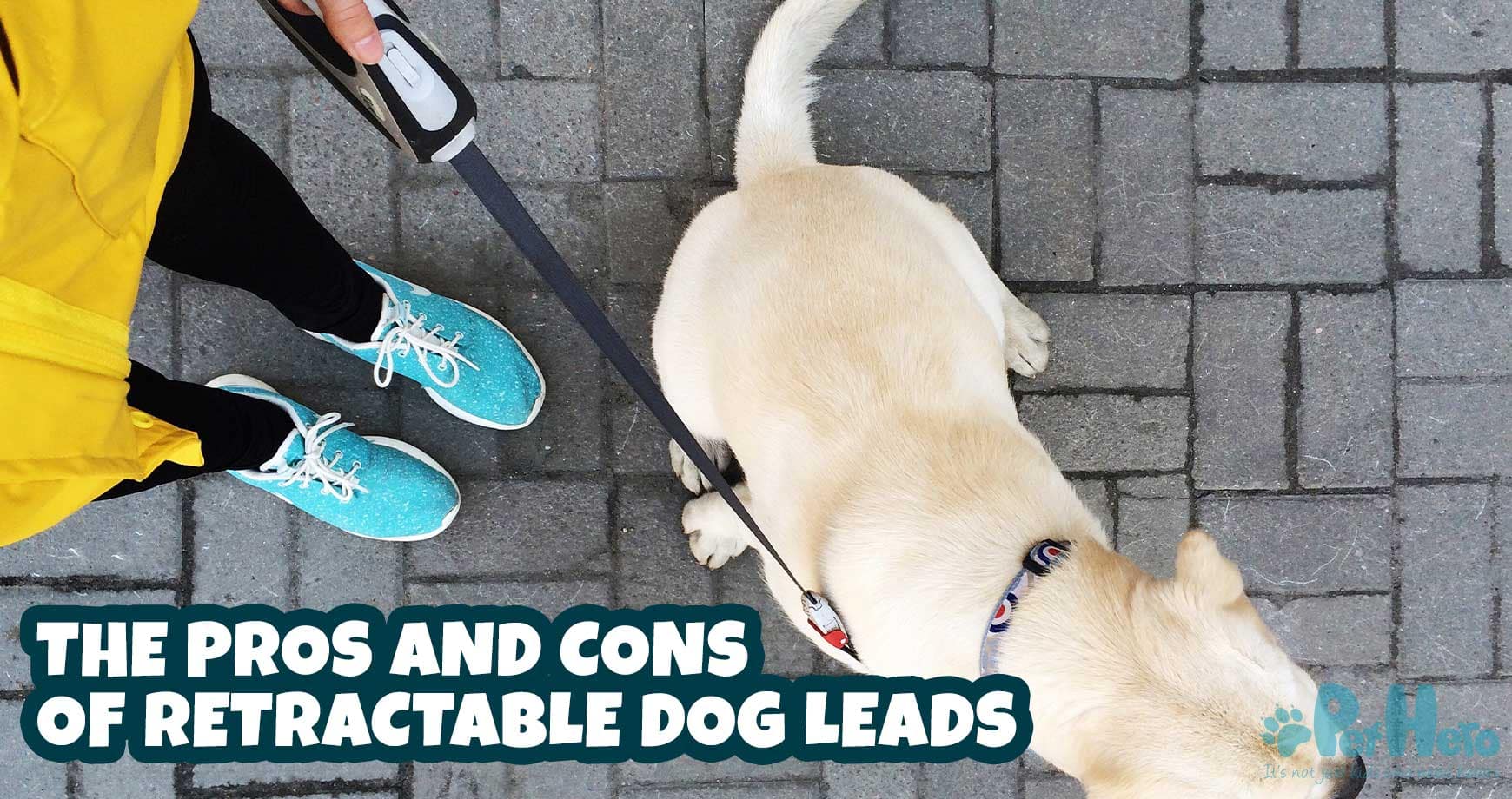 The Pros And Cons Of Retractable Dog Leads Pet Hero