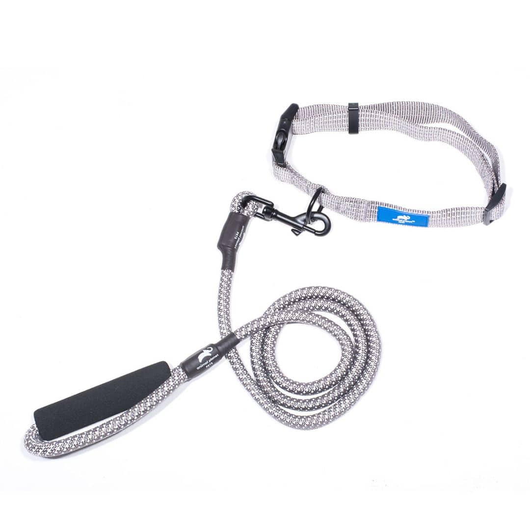 grey rope lead